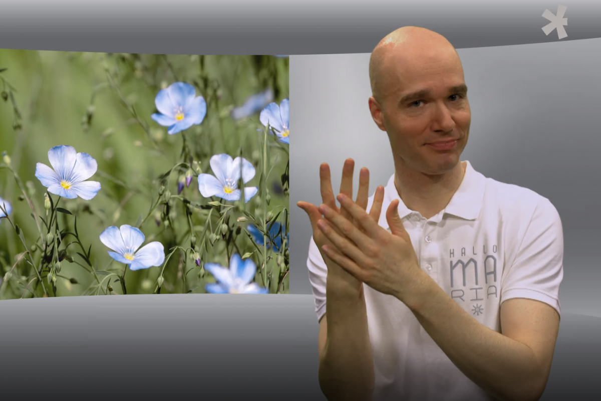 Heilfplanzen-ABC mit Mag. Sreco Dolanc