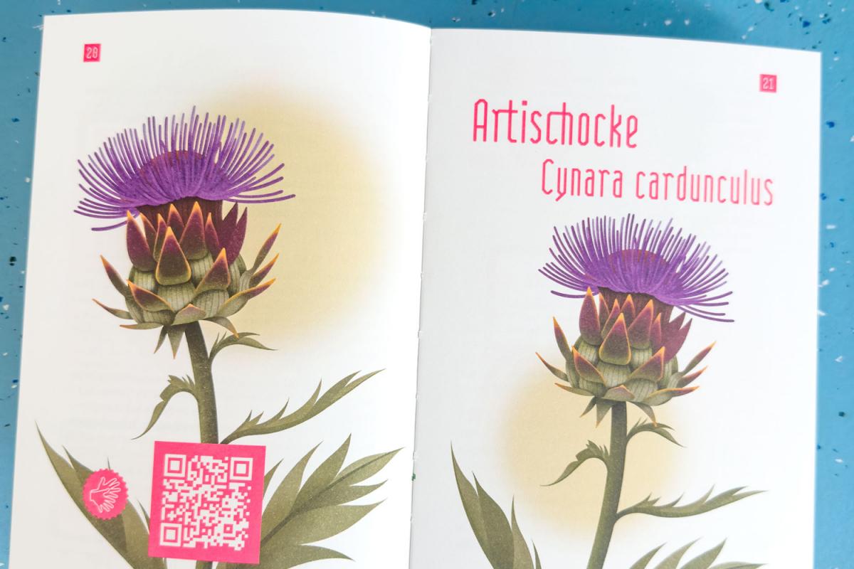 Heilpflanzen-Büchlein, das auf der Seite mit der Artischocke aufgeschlagen ist